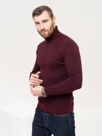 Свитер ISSA Plus модель GN4-90_burgundy Фото