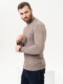 Джемпер ISSA Plus модель GN4-97_brown Фото