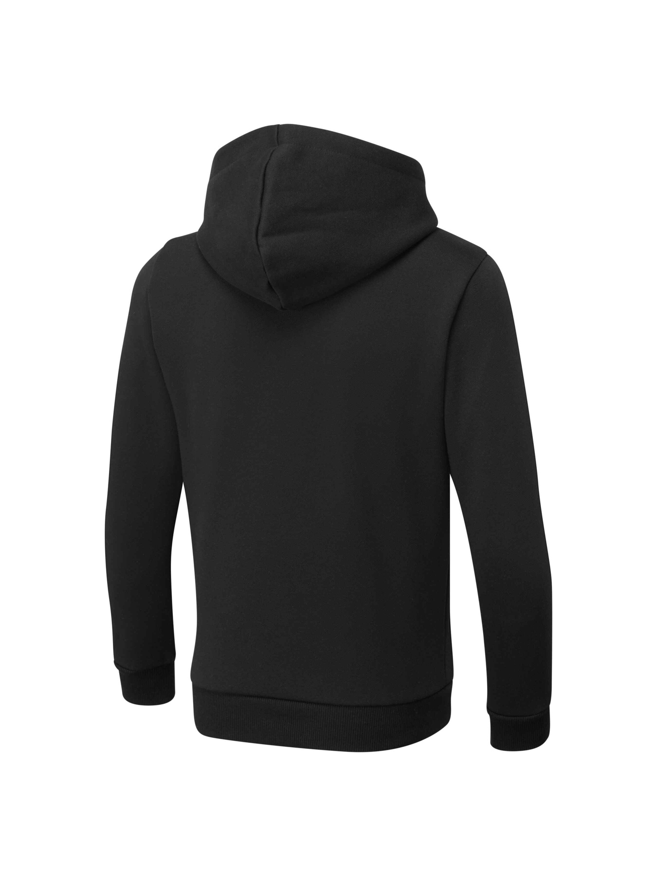 Худи PUMA Boys Ess Hoody Fl модель 847596 Фото