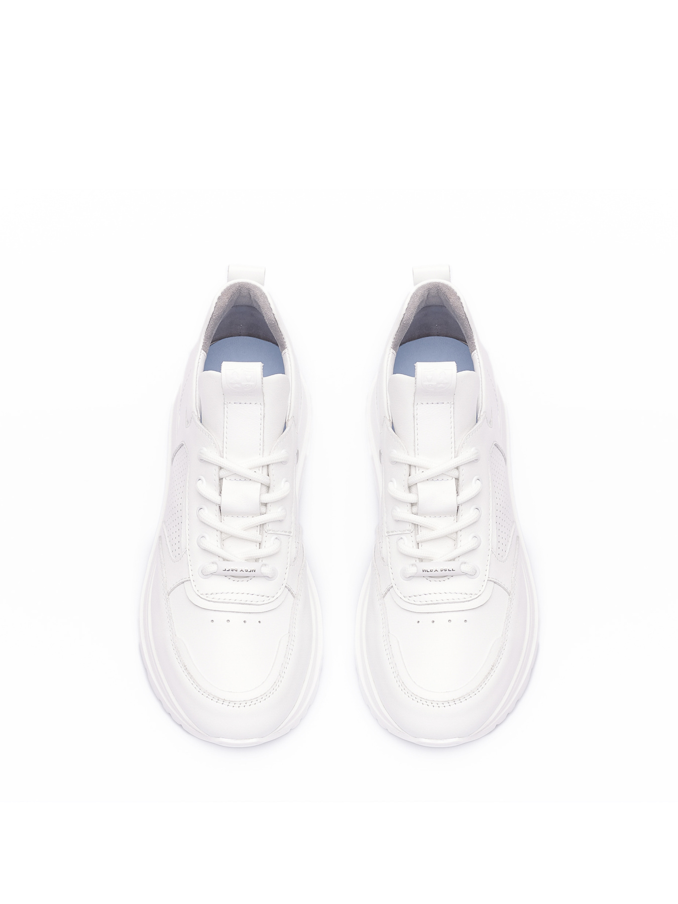 Кроссовки Alex Bell модель 1166532 Фото