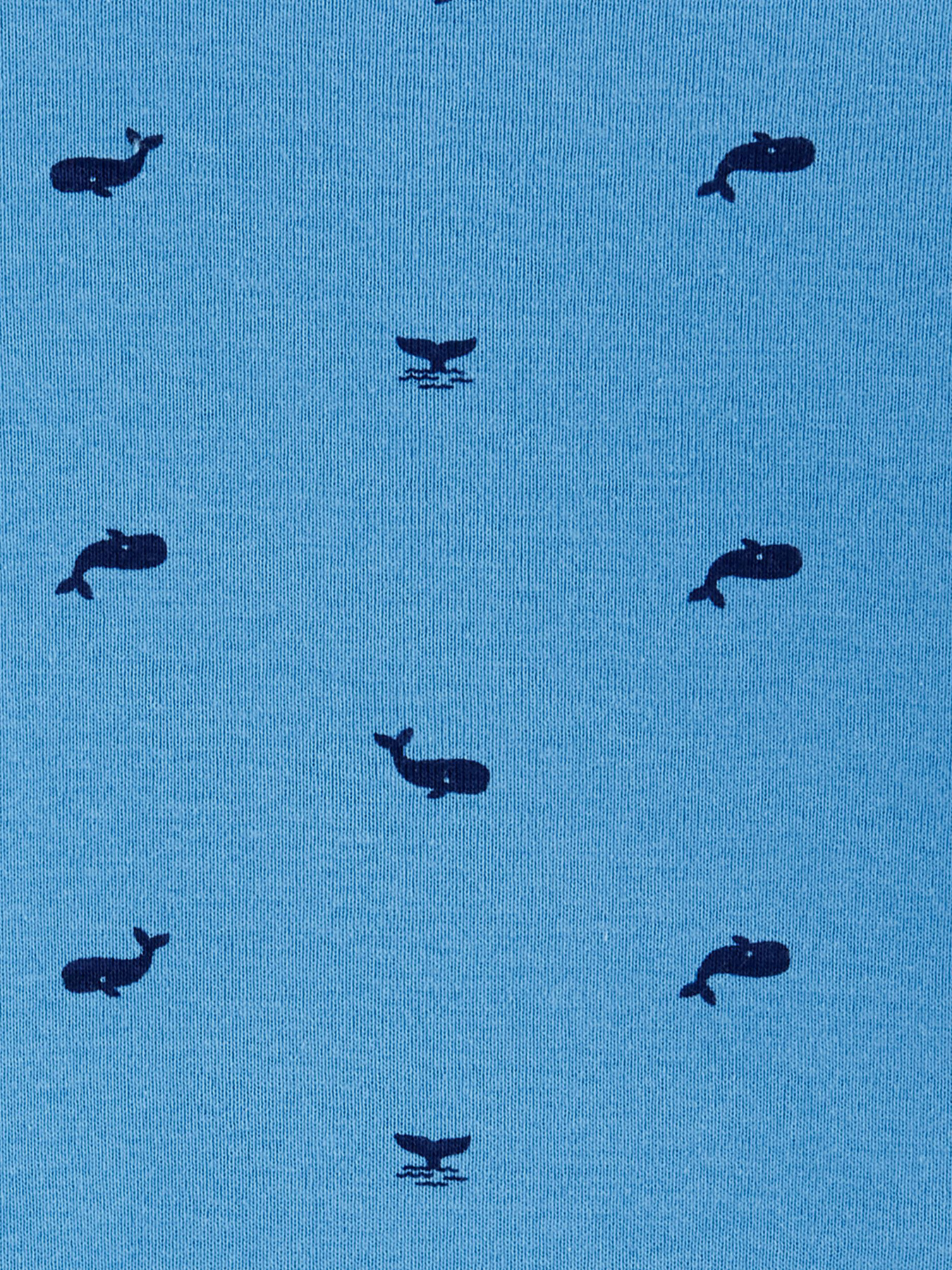 Комплект для младенцев Carter’s модель 50503 Фото