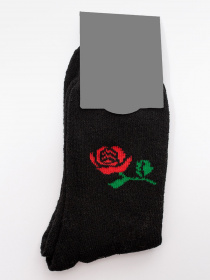 Шкарпетки ISSA Plus модель NS-211_black Фото