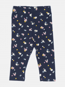 Легінси H&M модель 46296 Фото