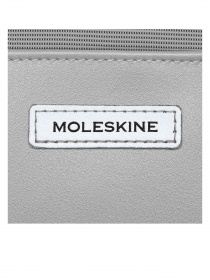 Повседневный рюкзак Moleskine модель ET82MTBKG14 Фото