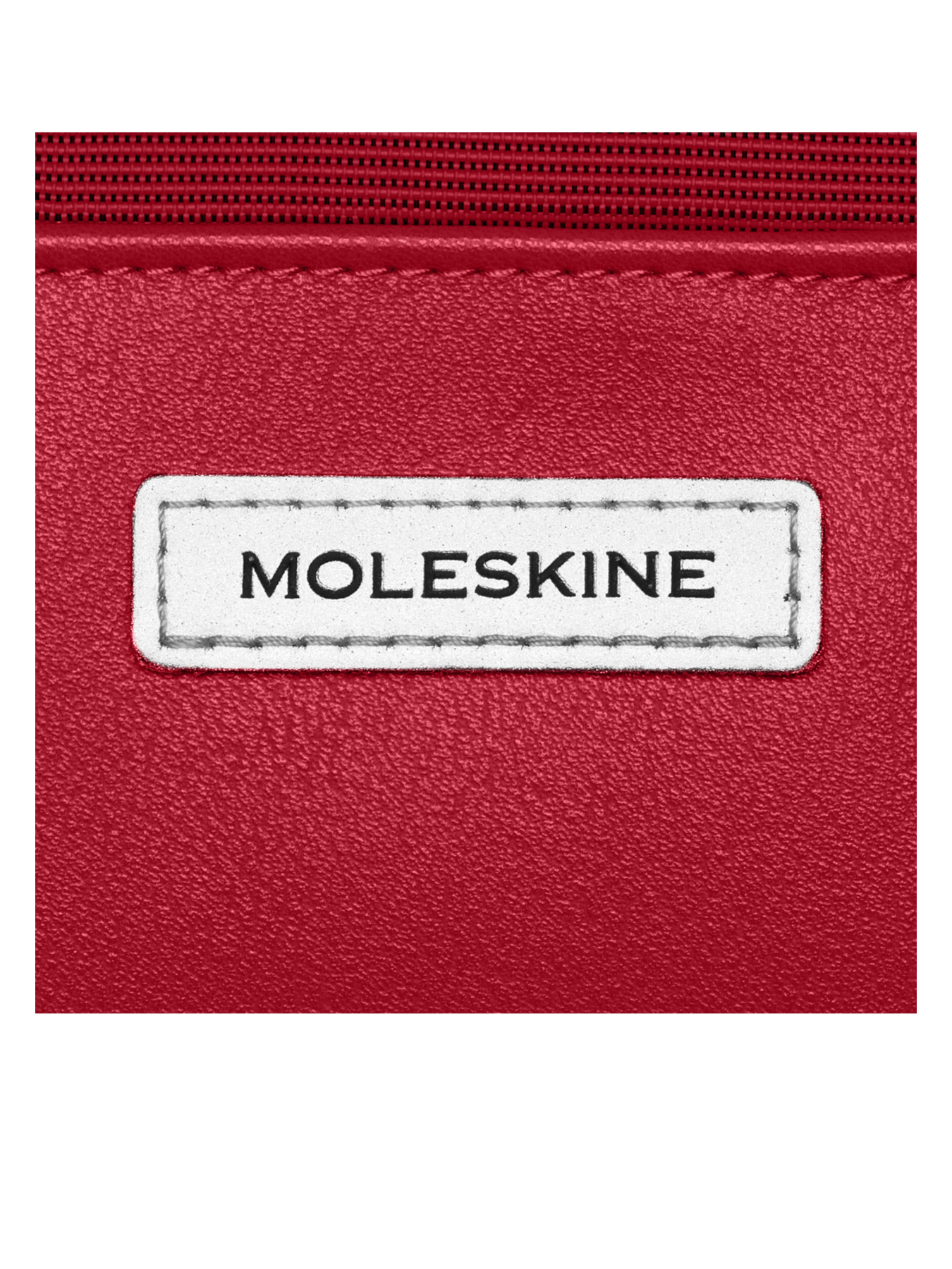 Рюкзак Moleskine модель ET20SMTBKF4 Фото