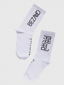 Носки Bezlad модель ieroglifsockseight Фото