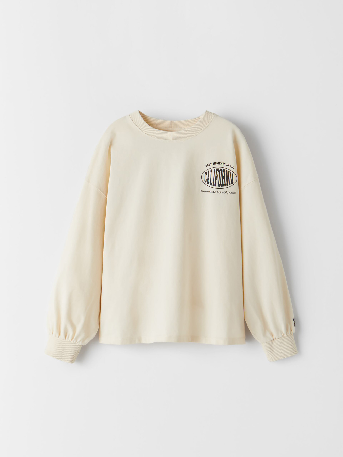 Світшот ZARA модель 65723 Фото