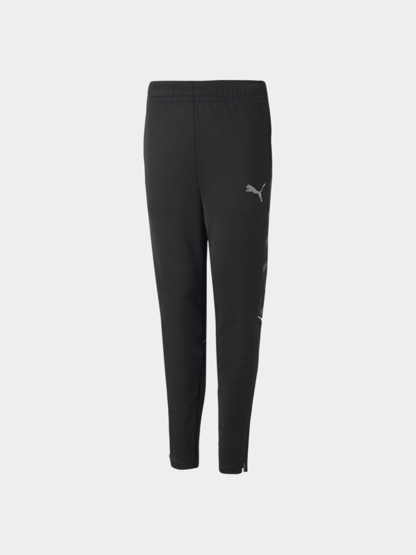 Штани спортивні PUMA Active Sports Poly Pants модель 670084 Фото