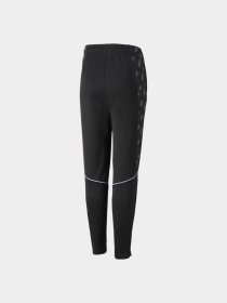 Спортивні штани PUMA Active Sports Poly Pants модель 670084 Фото