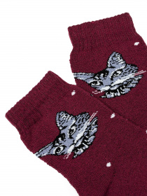 Шкарпетки ISSA Plus модель NS-240_burgundy Фото