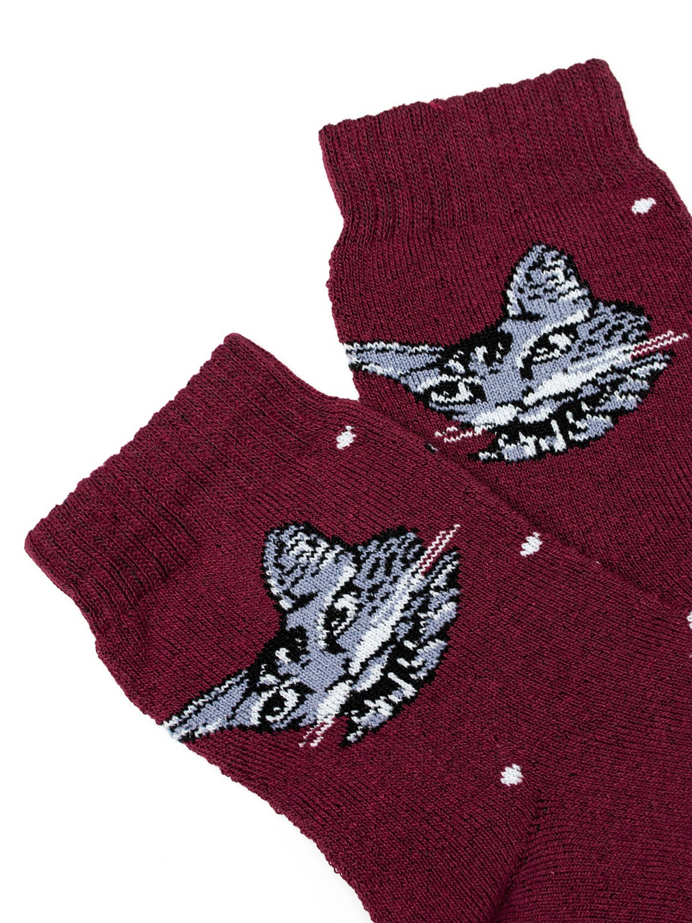 Носки ISSA Plus модель NS-240_burgundy Фото