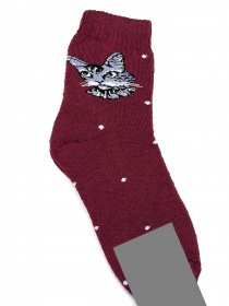 Носки ISSA Plus модель NS-240_burgundy Фото