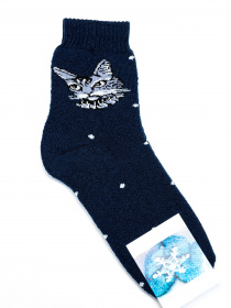 Шкарпетки ISSA Plus модель NS-241_blue Фото