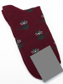 Шкарпетки ISSA Plus модель NS-242_burgundy Фото