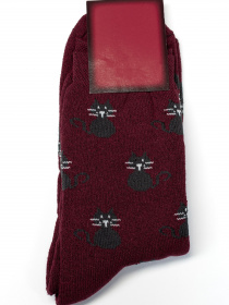 Шкарпетки ISSA Plus модель NS-242_burgundy Фото