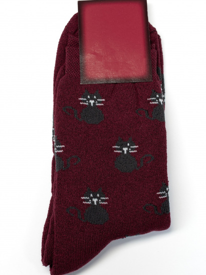 Шкарпетки ISSA Plus модель NS-242_burgundy - фото
