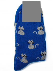 Шкарпетки ISSA Plus модель NS-242_blue Фото