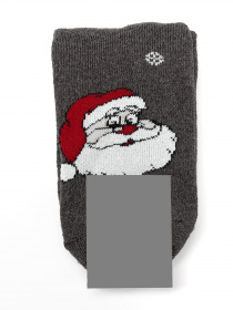 Шкарпетки ISSA Plus модель NS-244_darkgray Фото