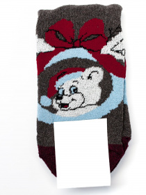 Носки ISSA Plus модель NS-245_brown Фото