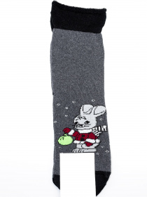 Шкарпетки ISSA Plus модель NS-245_darkgray Фото