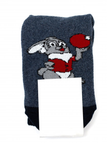 Шкарпетки ISSA Plus модель NS-246_blue Фото