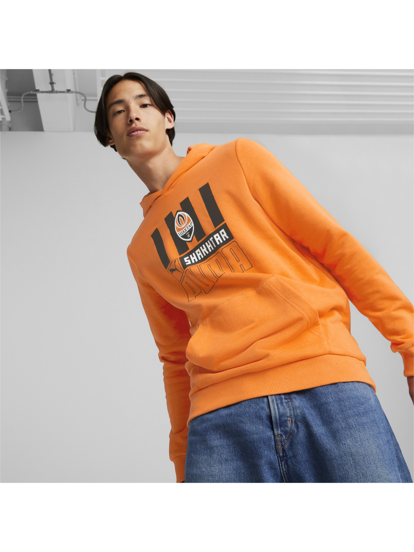 Худі PUMA Fcsd Ftblcore Hoody модель 767259 Фото