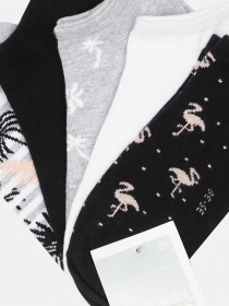 Набор носков C&A модель 55660 Фото