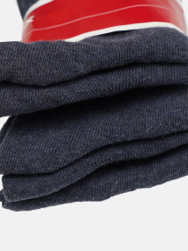 Набір шкарпеток C&A модель 55706 Фото