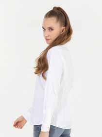 Рубашка US Polo модель G082SZ004.000.1450230.VR013 Фото