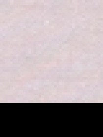 Рубашка повседневная US Polo модель G081GL004.000.1450315.VR052 Фото