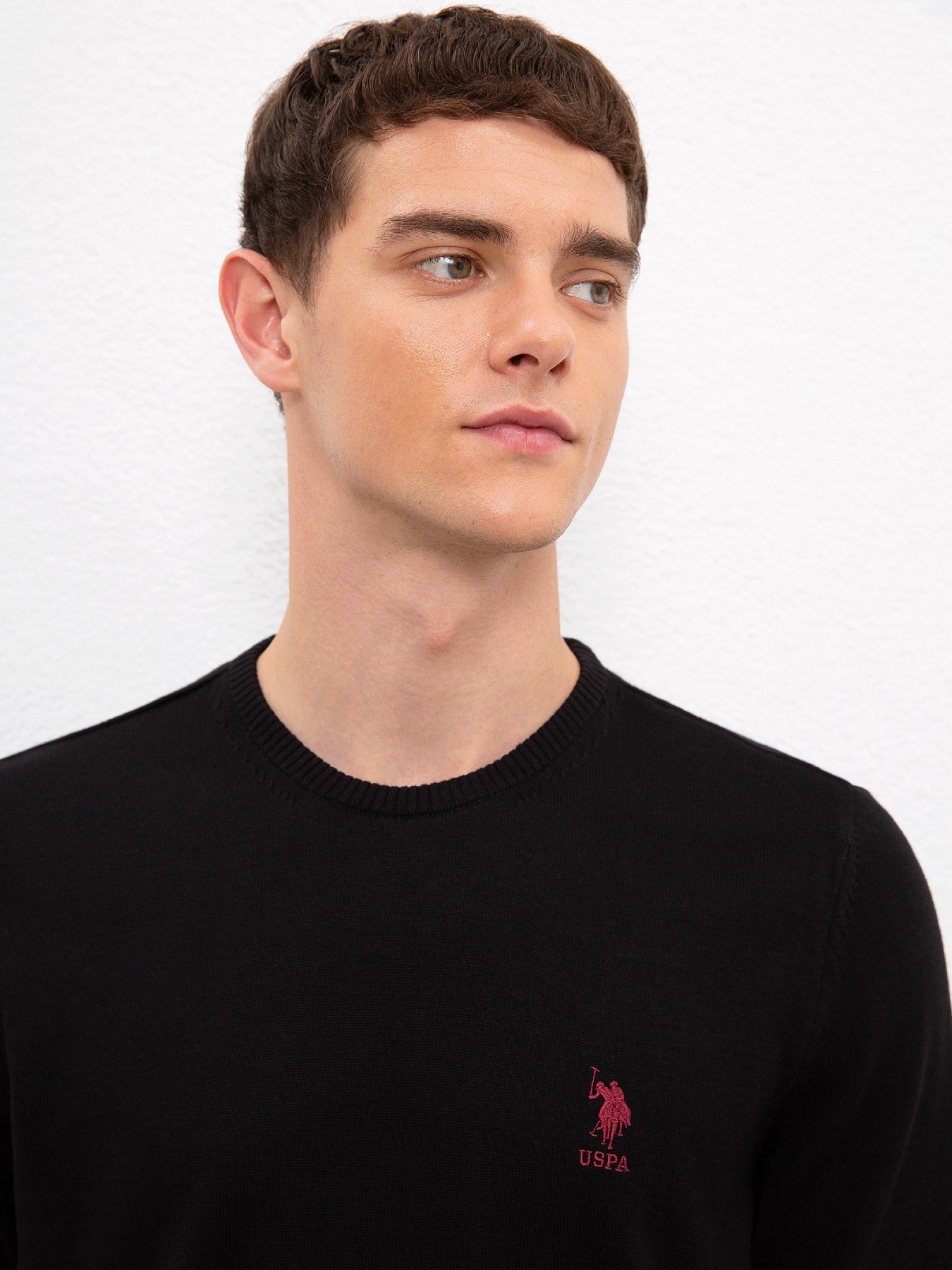 Джемпер US Polo модель G081GL0TK.000.1080061.VR046 Фото