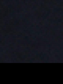 Спортивні штани US Polo модель G081SZ0OP.000.1454282.VR033 Спортивні штани US Polo модель G081SZ0OP.000.1454282.VR033 Фото