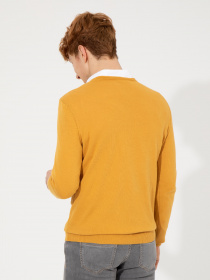 Джемпер US Polo модель G081GL0TK.000.1428987.VR043 Фото