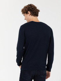 Свитшот US Polo модель G081GL082.000.1452052.VR033 Фото