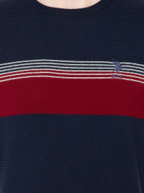 Джемпер US Polo модель G081GL0TK.000.1255827.VR033 Фото