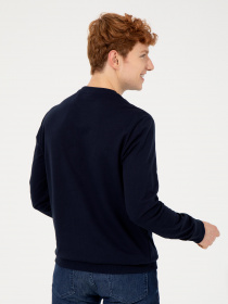 Свитшот US Polo модель G081GL082.000.1452043.VR033 Свитшот US Polo модель G081GL082.000.1452043.VR033 Фото