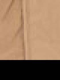 Демісезонна куртка US Polo модель G082SZ0MS.000.1441627.VR015 Фото