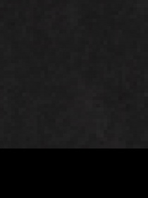 Демісезонна куртка US Polo модель G081GL0MS.000.1443053.VR046 Фото