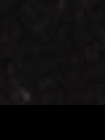 Легінси US Polo модель G082SZ0OP.000.1452091.VR046 Легінси US Polo модель G082SZ0OP.000.1452091.VR046 Фото