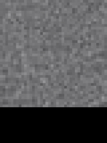 Штани спортивні US Polo модель G082SZ078.000.1453651.VR024 Фото