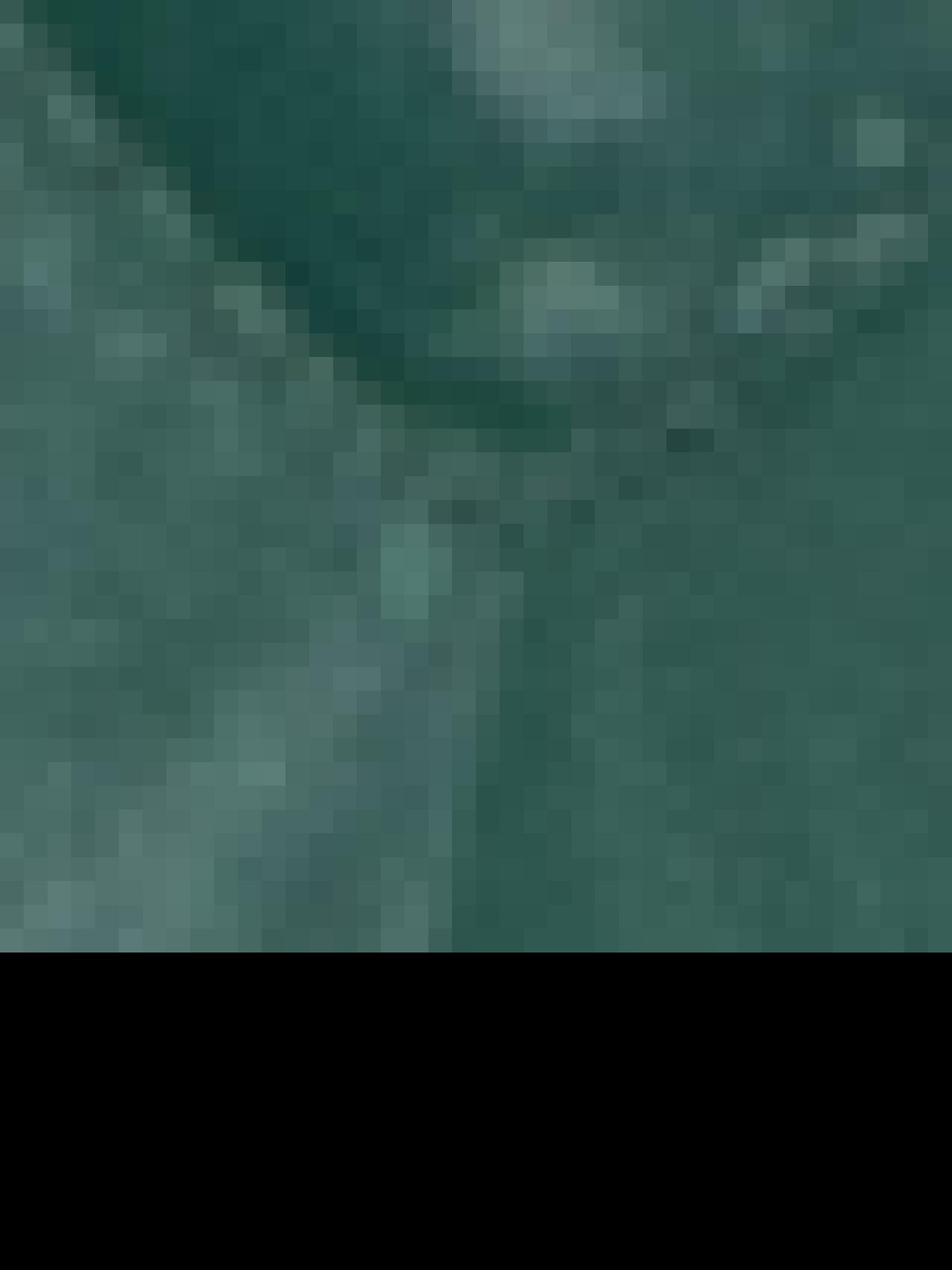 Жилет з утеплювачем US Polo модель G081SZ010.000.1449269.VR054 Фото