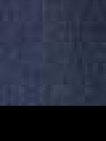 Вітровка US Polo модель G081SZ0MS.000.732094.VR033 Фото