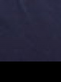 Жилет з утеплювачем US Polo модель G081SZ010.000.963780.VR033 Фото