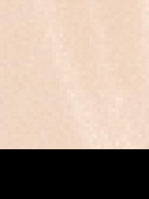 Жилет с утеплителем US Polo модель G082SZ010.000.1441630.VR049 Фото