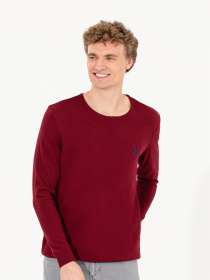 Джемпер US Polo модель G081GL0TK.000.1428984.VR014 Фото