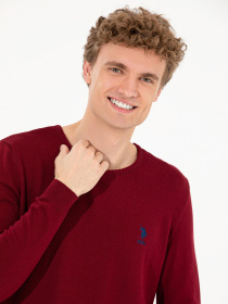 Джемпер US Polo модель G081GL0TK.000.1428984.VR014 Джемпер US Polo модель G081GL0TK.000.1428984.VR014 Фото