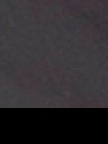 Ветровка US Polo модель G081GL0MS.000.1443129.VR006 Фото