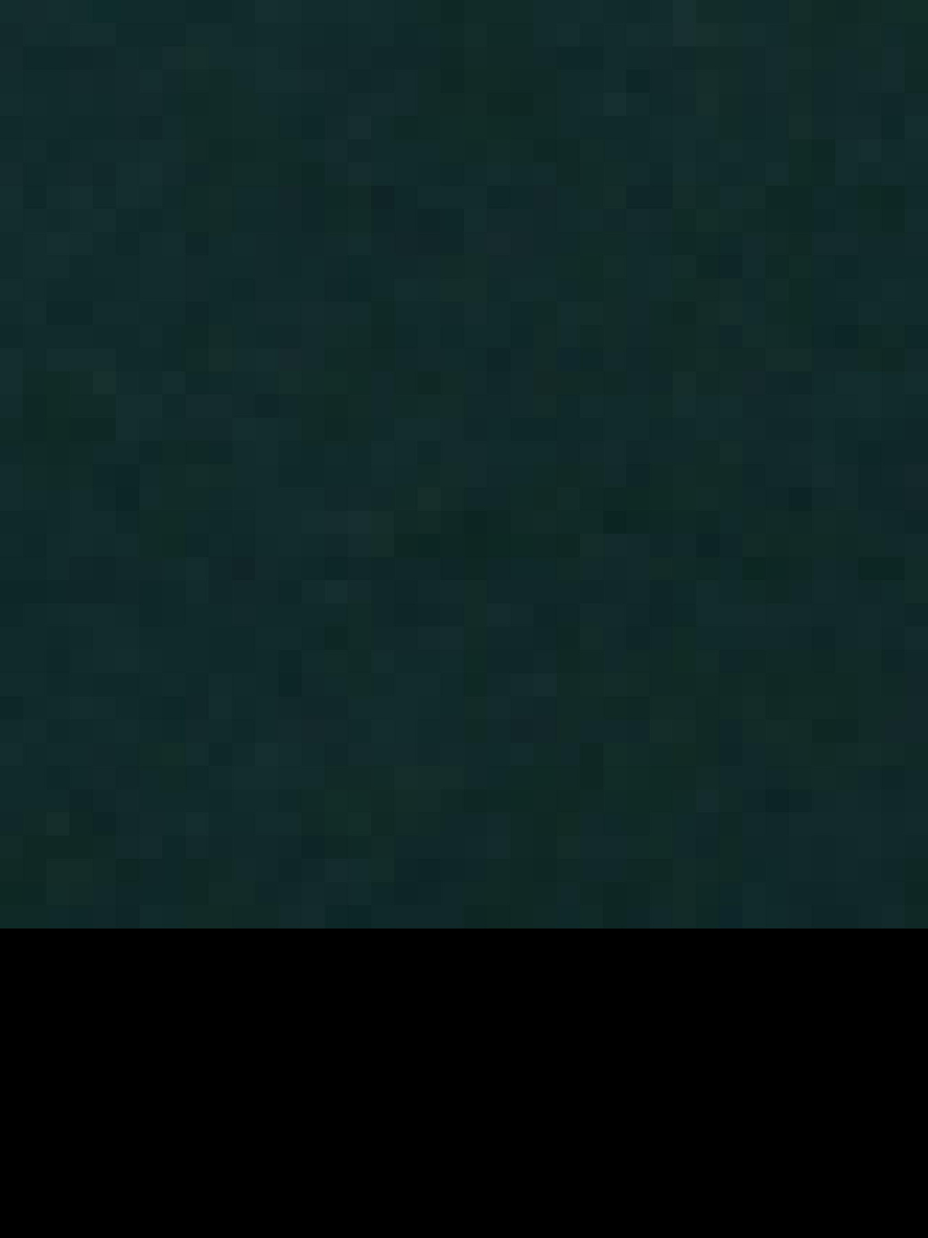 Світшот US Polo модель G081GL082.000.1451937.VR054 Фото