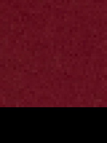 Штани спортивні US Polo модель G081SZ0OP.000.1454286.VR223 Фото