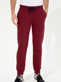 Штаны спортивные US Polo модель G081SZ0OP.000.1454286.VR223 Фото